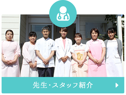 先生・スタッフ紹介