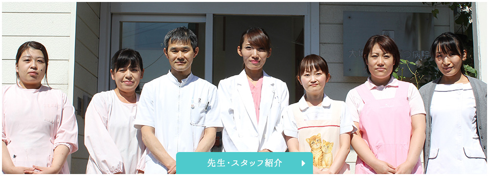 先生・スタッフ紹介