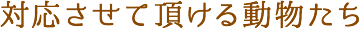 対応させて頂ける動物たち