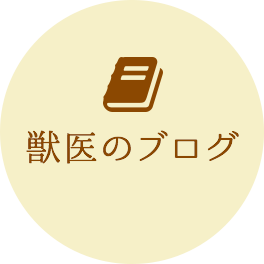 獣医のブログ