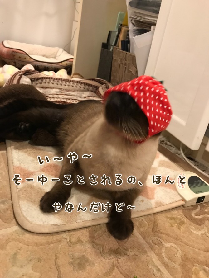 jin2