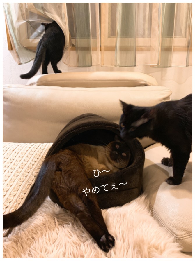 image1-8