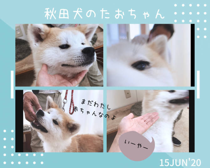 979101C0-BFA4-46AF-A996-9D61161560E7