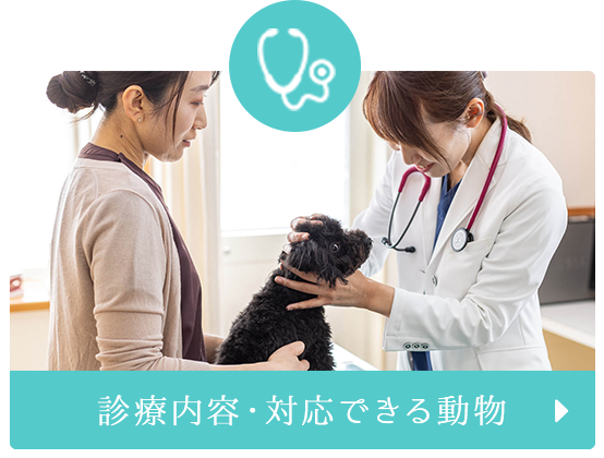 診療内容・対応できる動物